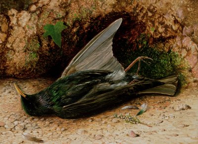Stær af John Atkinson Grimshaw